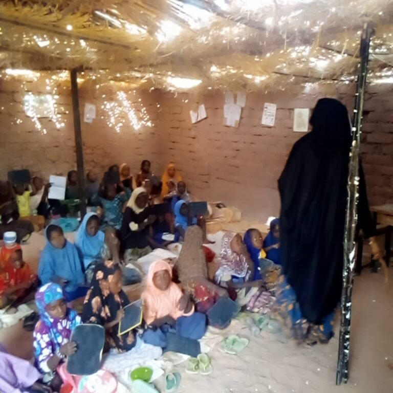L’Actions Nigériennes pour le Progrès et la Défense des Droits de la Femme et de l’Enfant (ANPDDFE) mène une action déterminée contre le mariage précoce des enfants, en concentrant ses efforts sur les filles vulnérables ayant un faible niveau scolaire. L’objectif est de prévenir les mariages précoces en renforçant l’accès à l’éducation, la formation professionnelle et le soutien psychosocial. Objectif : Soutenir l’éducation des filles à risque et leur offrir des alternatives crédibles au mariage précoce. À travers ce projet, l’ANPDDFE entend promouvoir un avenir où chaque fille peut aspirer à une vie meilleure. C’est dans cette optique que chaque année elle organise avec la collaboration des enseignants du cours primaire de Guidan Roumdji des séances de remédiation de 3 mois allant du mois d’avril à juin. En 2025, les séances ont débuté en mars et ont concerné 155 élèves dont 75 en classe de CM² et 80 en classe de CP² Résultats obtenus
