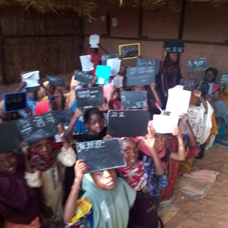 Actions Nigériennes pour le Progrès et la Défense des Droits de la Femme et de l’Enfant (ANPDDFE) a soutenu des cours de renforcement pour les élèves filles du niveau CP et CM2 de l’école Quartier 1, sous la tutelle de l’IEPP de Guidan Roumdji 1.